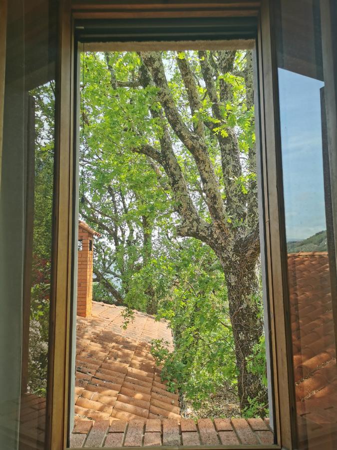 L'Albero Del Cioccolato Bed & Breakfast Pigna Exterior photo